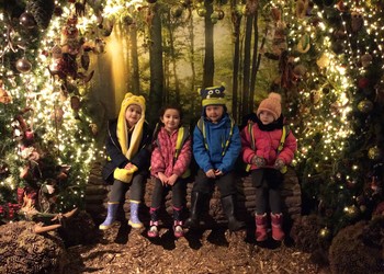 Reception EYFS School Trip to Willows Farm, December 2018