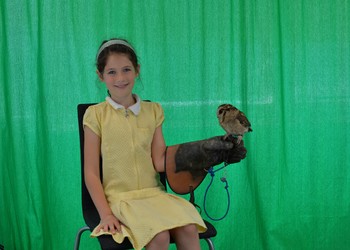 Kent Owl Academy visit Harpenden Academy, June 2019