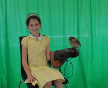 Owl