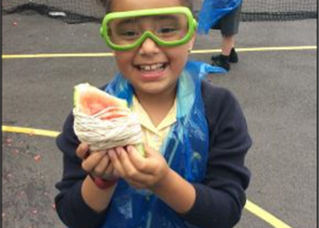 Wellbeing Week, June 2019