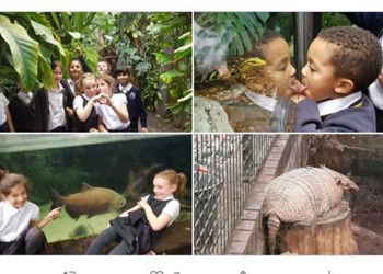 Kerr and Austen Class visit The Living Forest