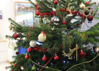 Trust Newsletter December 2019