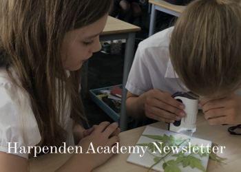 18th September 2020 School Newsletter