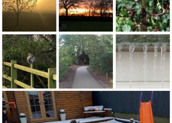 Photography Project Lockdown