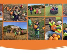 Pumpkin3