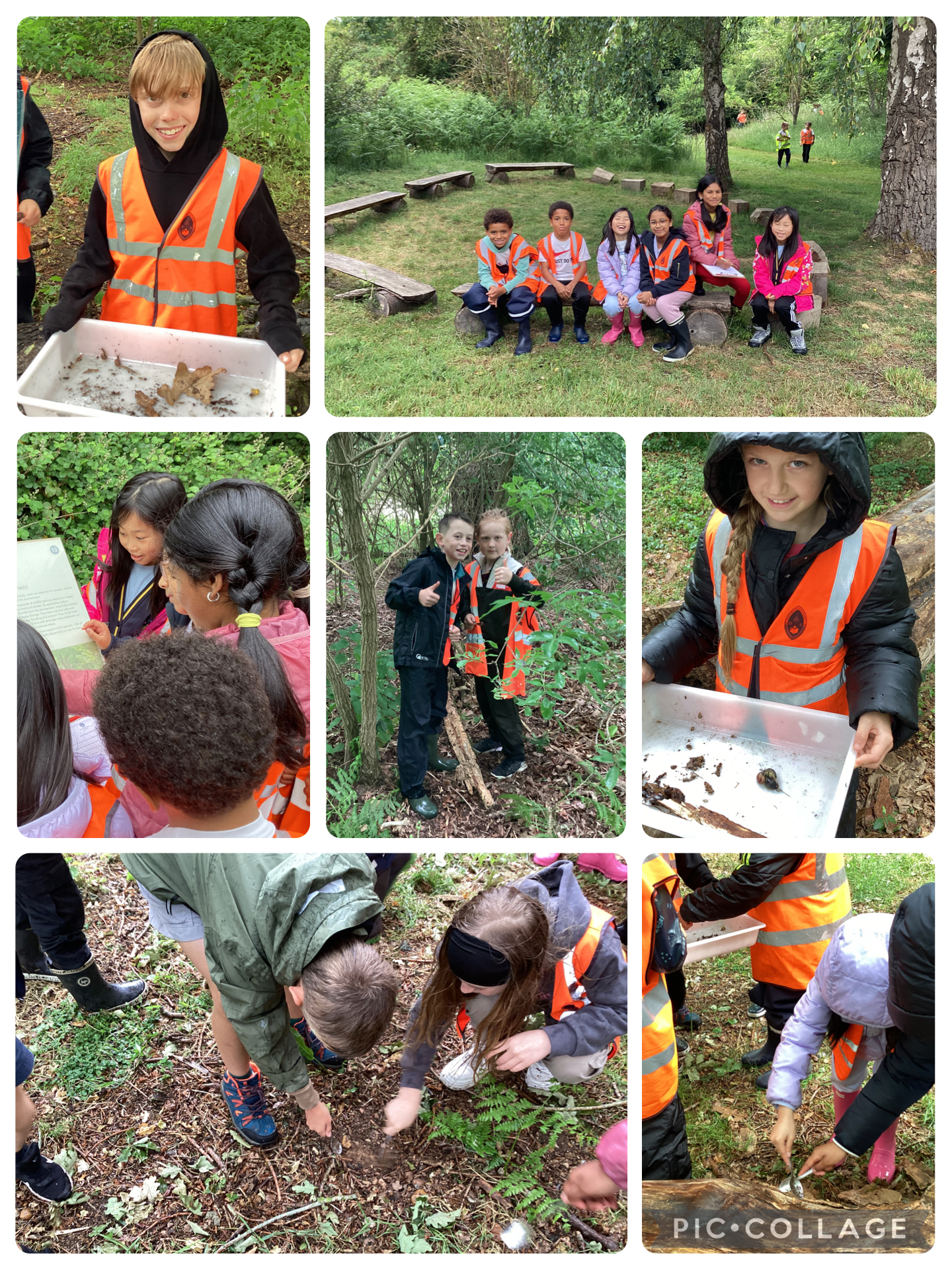 Year 4 woodhall estate photo