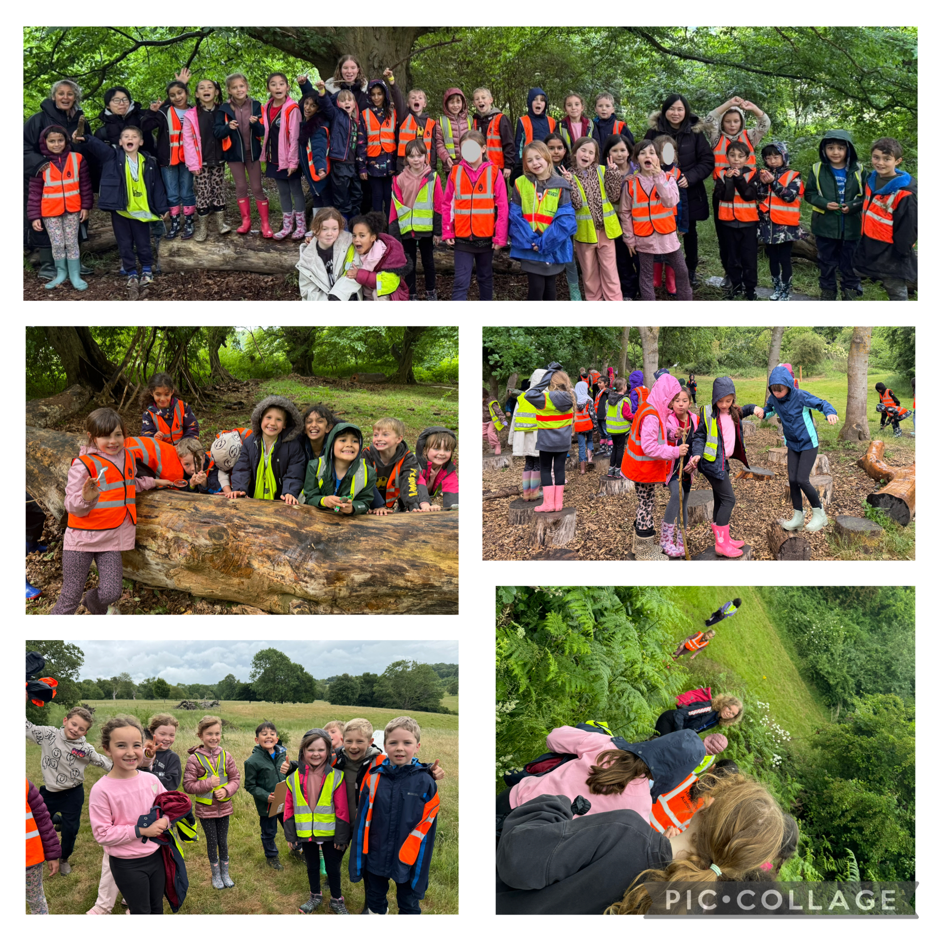 Year 3 Woodhall estate 2JPG
