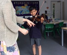 Violin